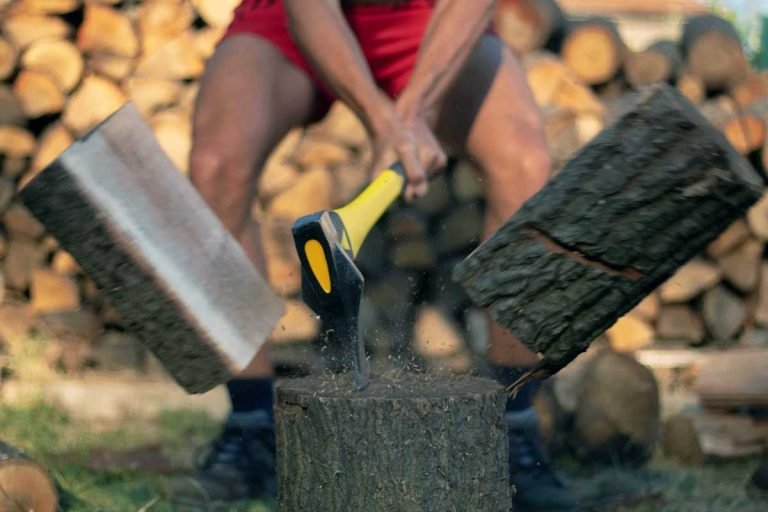 A Summary of Focus by Al Ries Key Takeaways & Insights